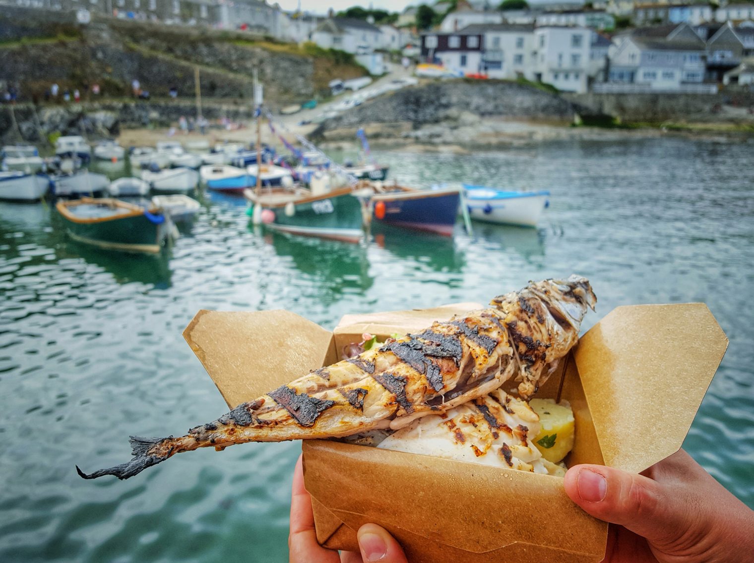 Pink Lady Food Photographer Finalist 2017, Freshly Caught Mackerel for Lunch! 