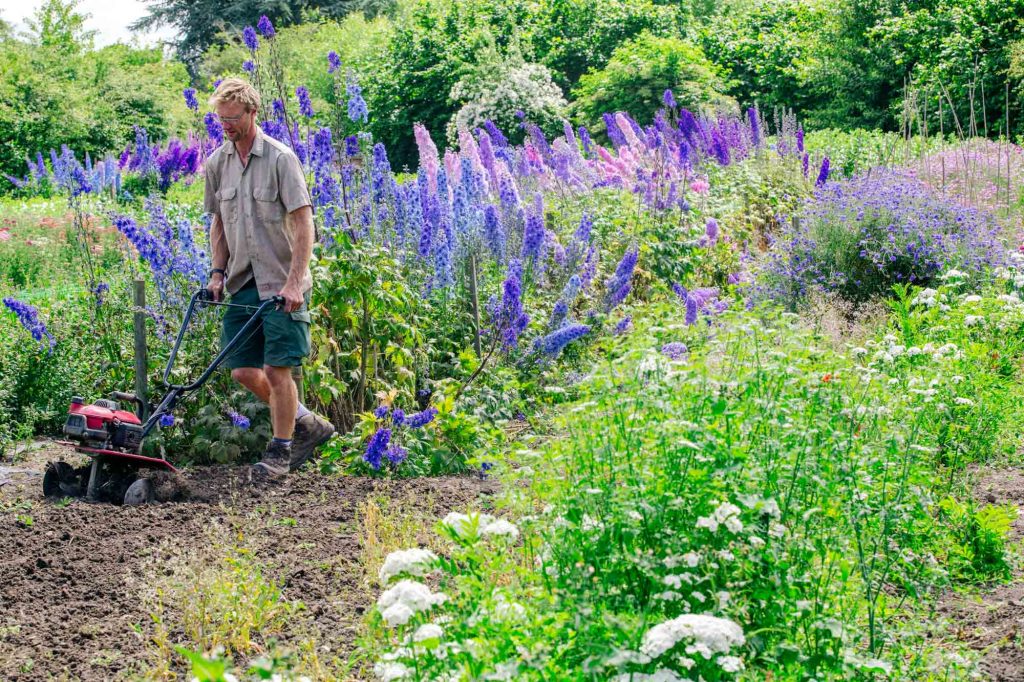 Green & Gorgeous, Cutting Garden, Wedding Floristry