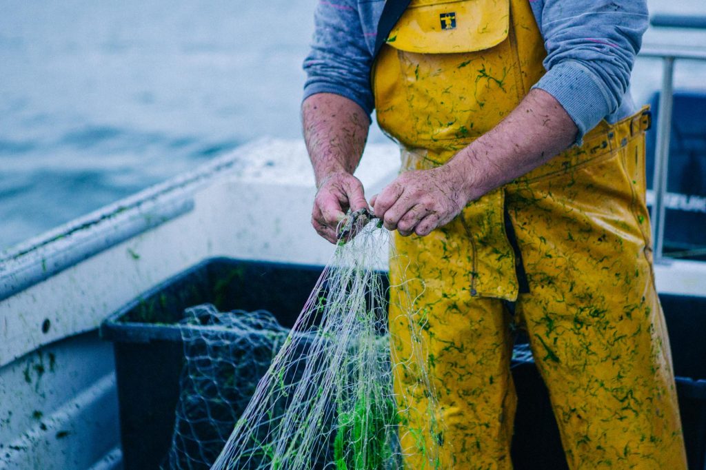 River Fal, Fisherman, Day Boat, Cornwall