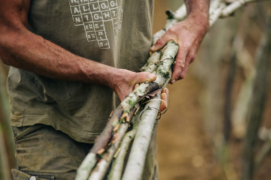 Garden Photography, Horticulture, Sandy Lane Farm