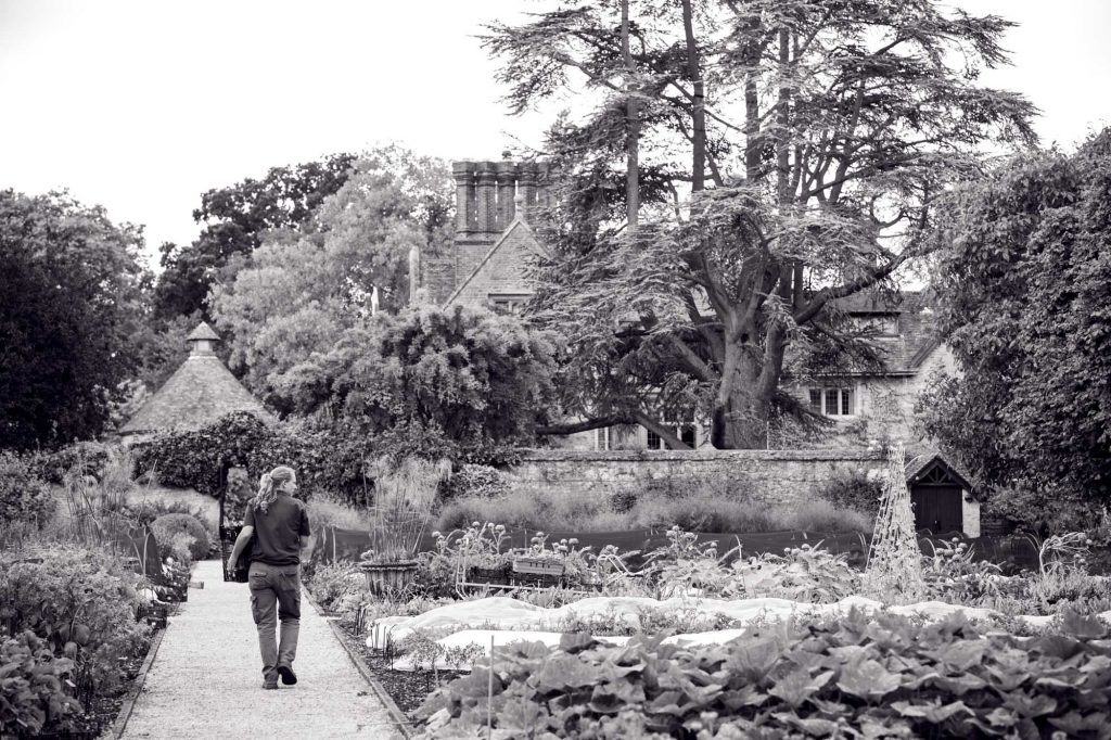 Garden Photography, Horticulture