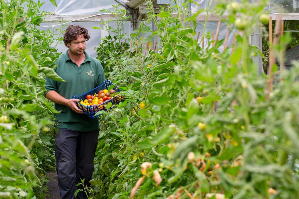 Garden Photography, Horticultural Photography, Le Manoir Garden Photography