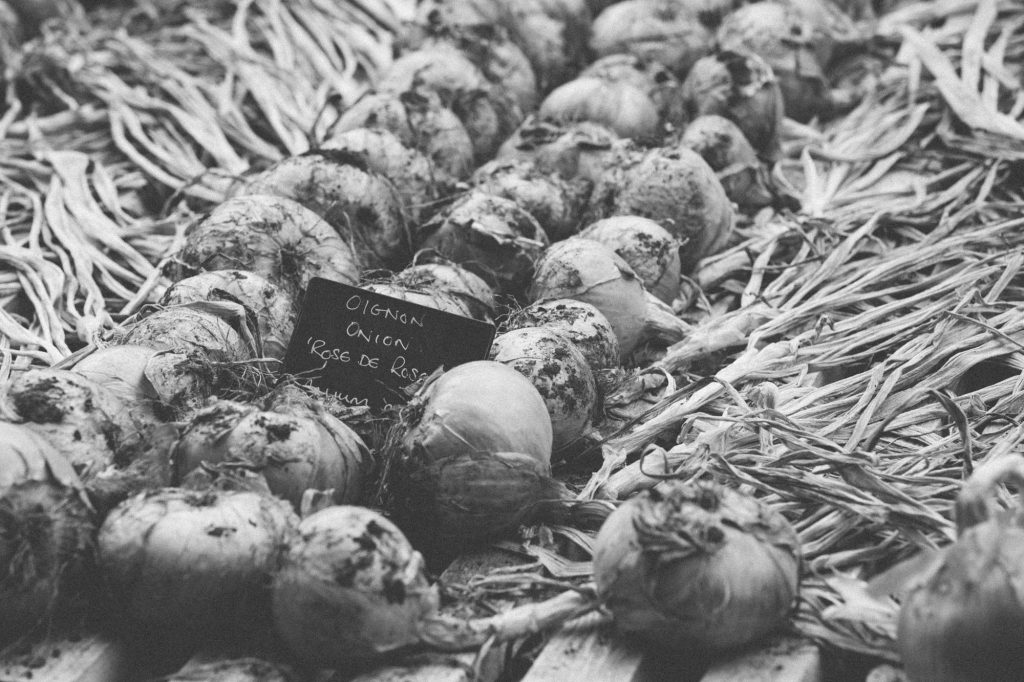 Garden Photography, Horticultural Photography, Le Manoir Garden Photography