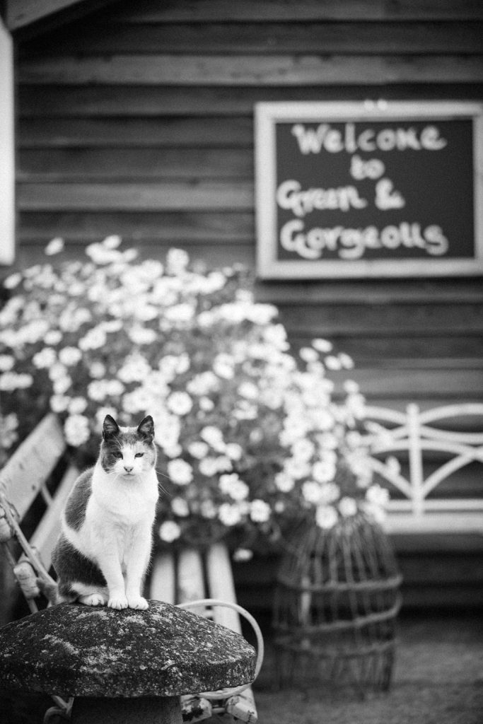 Green & Gorgeous, Cutting Garden, Wedding Floristry