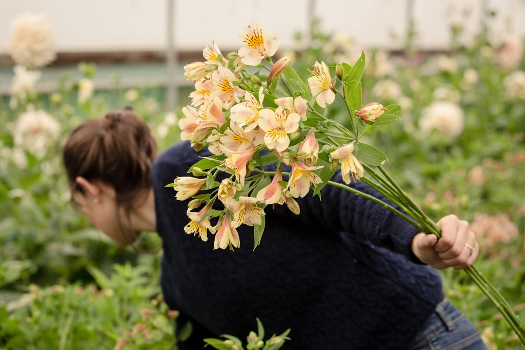 Green & Gorgeous, Cutting Garden, Wedding Floristry