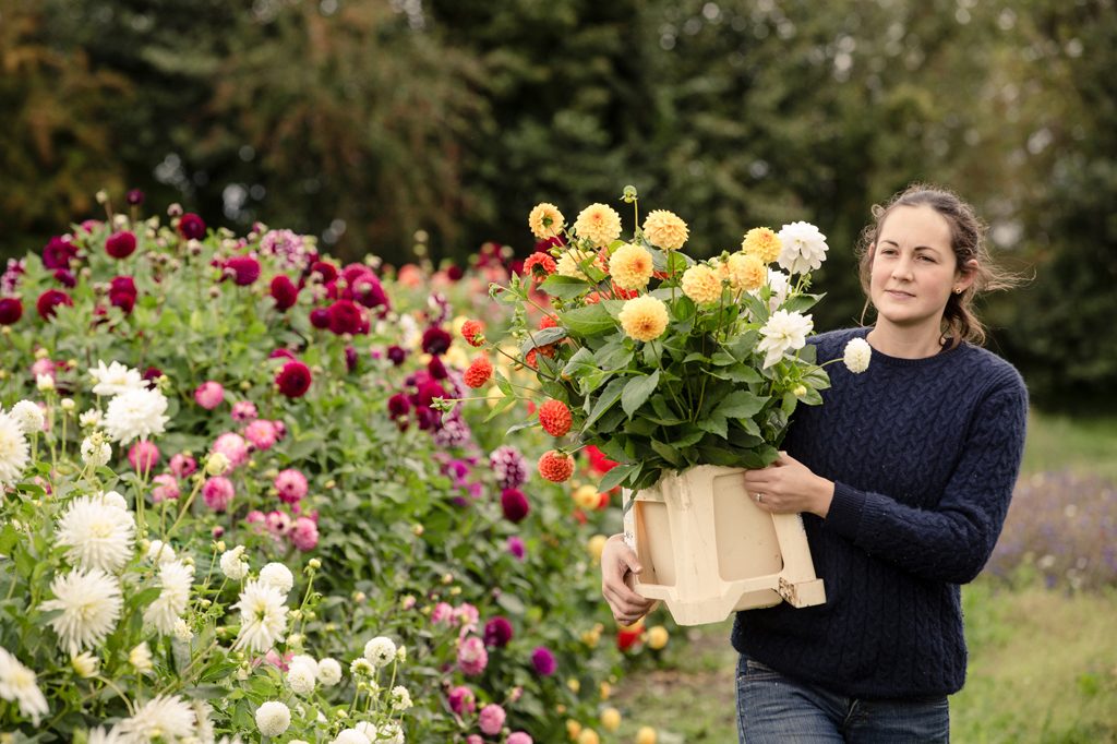 Green & Gorgeous, Cutting Garden, Wedding Floristry