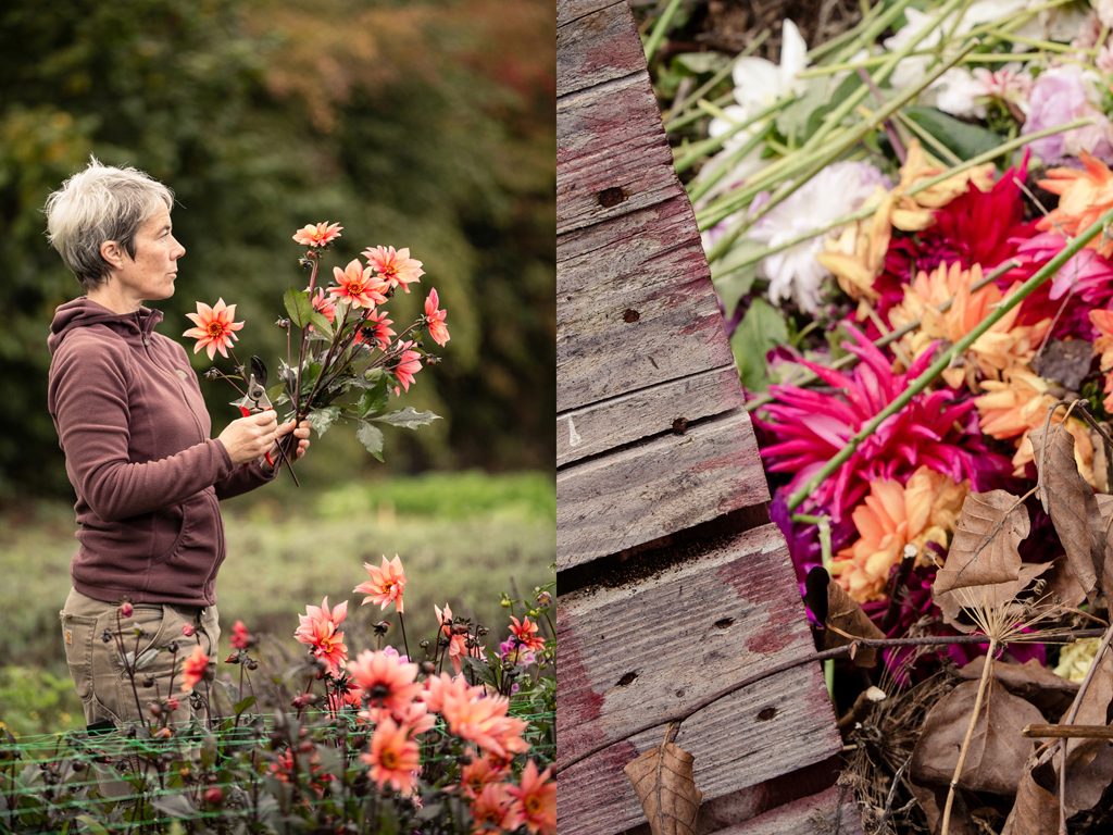 Green & Gorgeous, Cutting Garden, Wedding Floristry