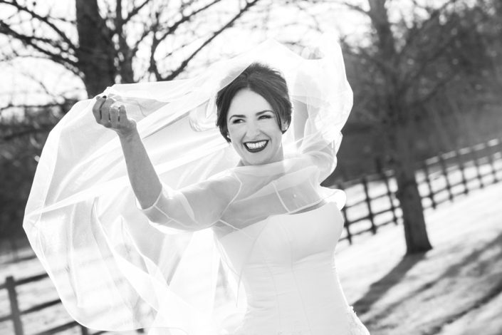 Bride with veil