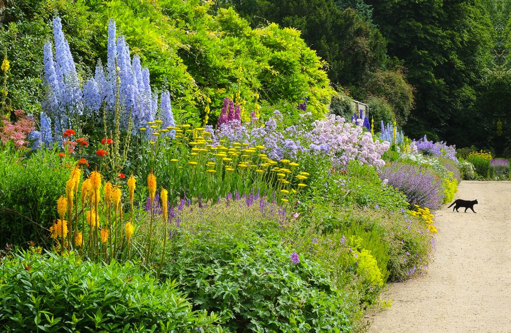 Herbaceous Border, Waterperry Gardens