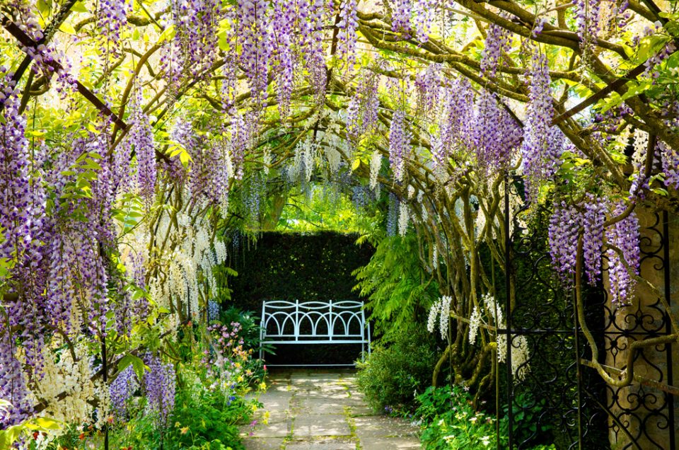 Garden Photography Course
