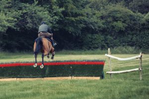Horse Photography, Point to Point, National Hunt, Lawney Hill Racing, Horse Racing
