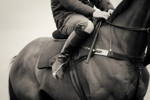 Horse Photography, Point to Point, National Hunt, Lawney Hill Racing, Horse Racing