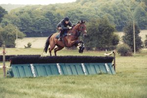 Horse Photography, Point to Point, National Hunt, Lawney Hill Racing, Horse Racing, Show Jumping