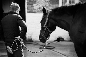 Horse Photography, Point to Point, National Hunt, Lawney Hill Racing, Horse Racing