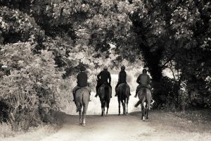 Horse Photography, Point to Point, National Hunt, Lawney Hill Racing, Horse Racing