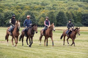 Horse Photography, Point to Point, National Hunt, Lawney Hill Racing, Horse Racing