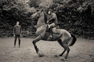 Horse Photography, Point to Point, National Hunt, Lawney Hill Racing, Horse Racing
