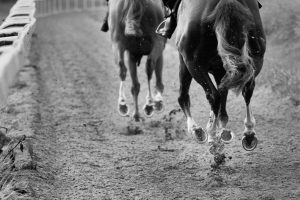 Horse Photography, Point to Point, National Hunt, Lawney Hill Racing, Horse Racing