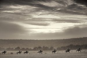 Horse Photography, Point to Point, National Hunt, Lawney Hill Racing, Horse Racing