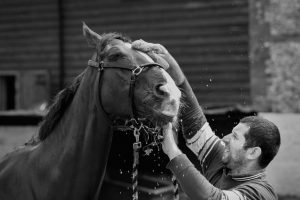 Horse Photography, Point to Point, National Hunt, Lawney Hill Racing, Horse Racing