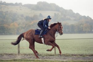 Horse Photography, Point to Point, National Hunt, Lawney Hill Racing, Horse Racing