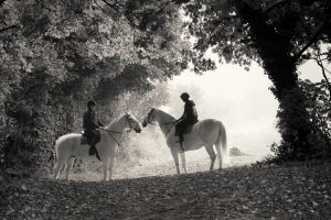 Horse Photography, Point to Point, National Hunt, Lawney Hill Racing, Horse Racing