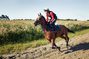 Horse Photography, Point to Point, National Hunt, Lawney Hill Racing, Horse Racing