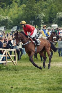 Horse Photography, Point to Point, National Hunt, Lawney Hill Racing, Horse Racing