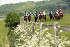 Horse Photography, Point to Point, National Hunt, Lawney Hill Racing, Horse Racing