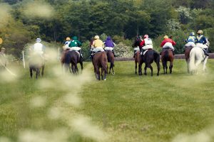 Horse Photography, Point to Point, National Hunt, Lawney Hill Racing, Horse Racing