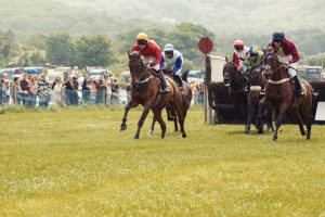 Horse Photography, Point to Point, National Hunt, Lawney Hill Racing, Horse Racing