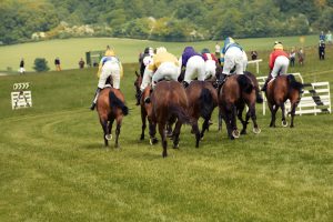 Horse Photography, Point to Point, National Hunt, Lawney Hill Racing, Horse Racing