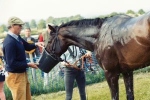 Horse Photography, Point to Point, National Hunt, Lawney Hill Racing, Horse Racing