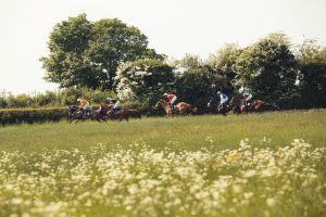 Horse Photography, Point to Point, National Hunt, Lawney Hill Racing, Horse Racing