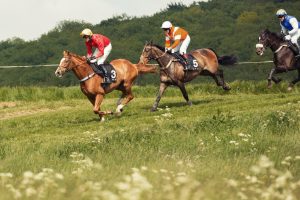 Horse Photography, Point to Point, National Hunt, Lawney Hill Racing, Horse Racing