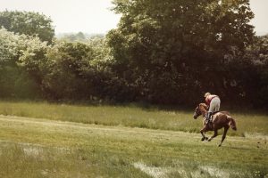 Horse Photography, Point to Point, National Hunt, Lawney Hill Racing, Horse Racing