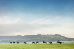 Horse Photography, Point to Point, National Hunt, Lawney Hill Racing, Horse Racing