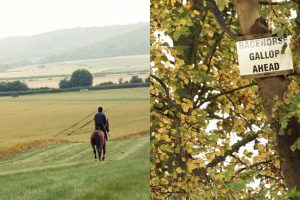 Horse Photography, Point to Point, National Hunt, Lawney Hill Racing, Horse Racing