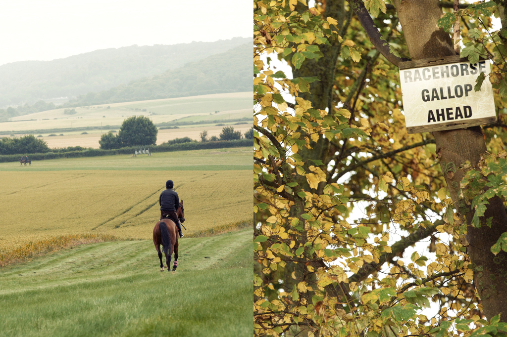 Horse Photography, Point to Point, National Hunt, Lawney Hill Racing, Horse Racing