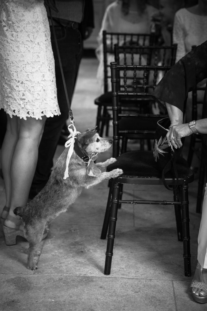 Wedding Photographer Oxfordshire